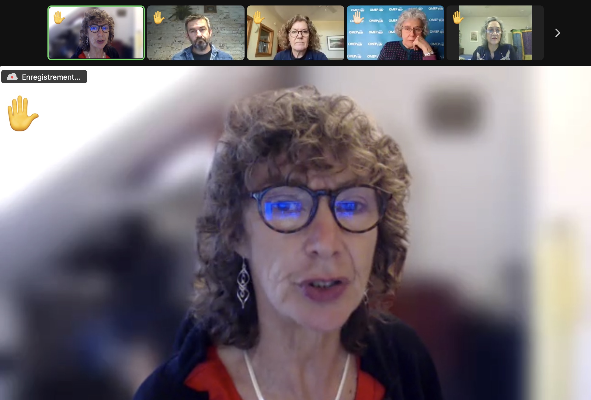 Screenshot of Zoom call showing Sandra Fredman talking with several thumbnail images of people with virtual hands raised